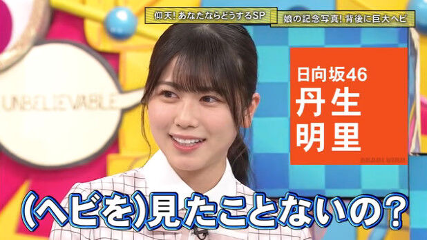 動画 21 05 奇跡体験 アンビリバボー 予想を超えるアイデアの連続 あなたならどうするsp 日向坂46 丹生明里 Akb48の動画 まとめch2 動画 21 05 奇跡体験 アンビリバボー 予想を超えるアイデアの連続 あなたならどうするsp 日向坂46 丹生明里 Akb48の動画 まとめch2