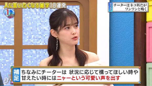 bandicam 2024-11-02 13-27-22-415