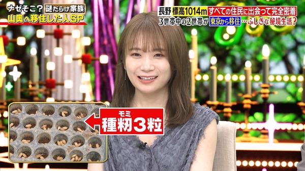 4dd82311403c3cb733d4321f00623c6f1230b530