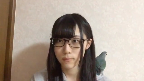 bandicam 2017-11-25 09-47-59-710