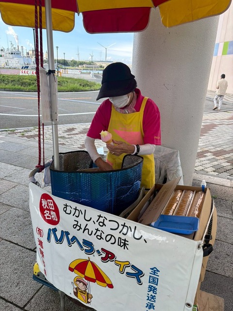 aaBaX4005
