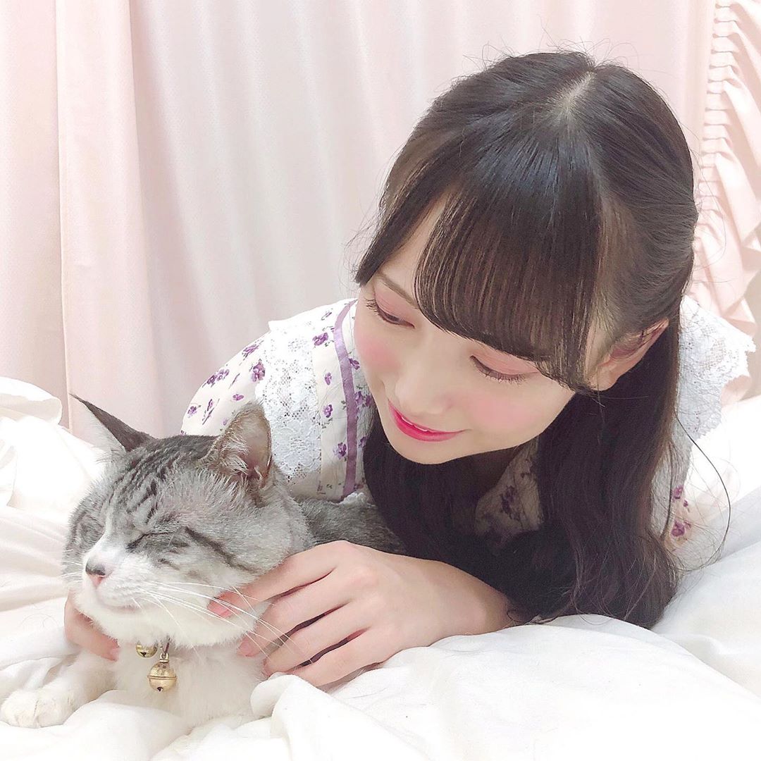 ノイミー] 鈴木瞳美「愛猫のじろう 〜、ずっとそっぽ向いておる