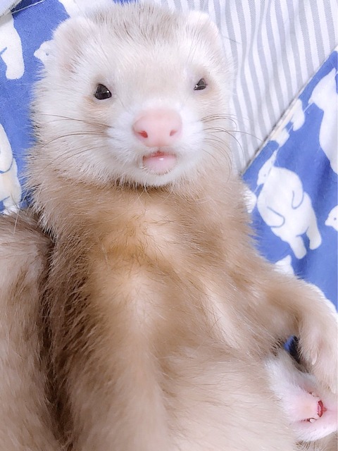 DmzYBvaVsAAnmh4