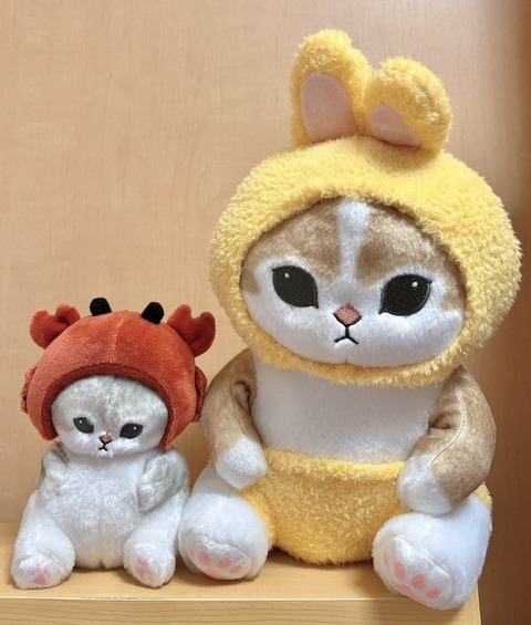 Ff1f2ZDakAEqKqW