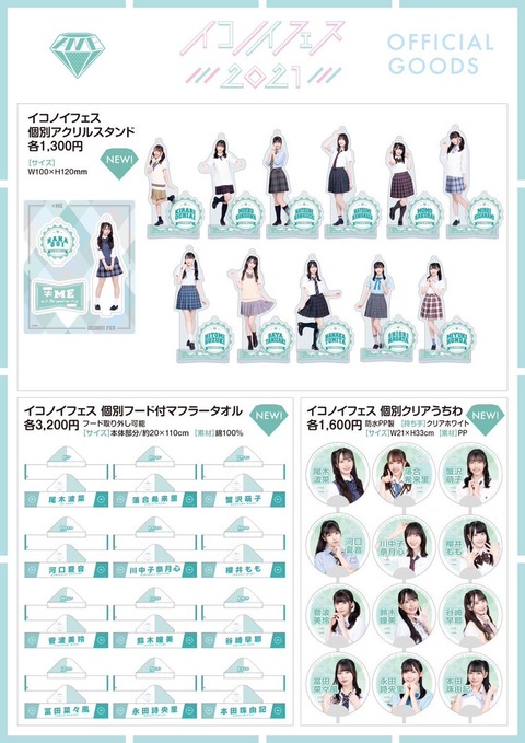 aiN500006