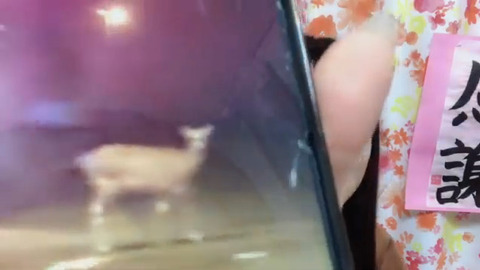 bandicam 2022-04-05 09-54-18-555