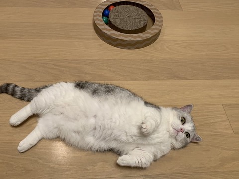 DtVMj_PUcAAf1Dz