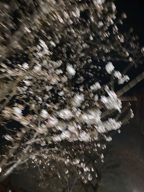 g00001
