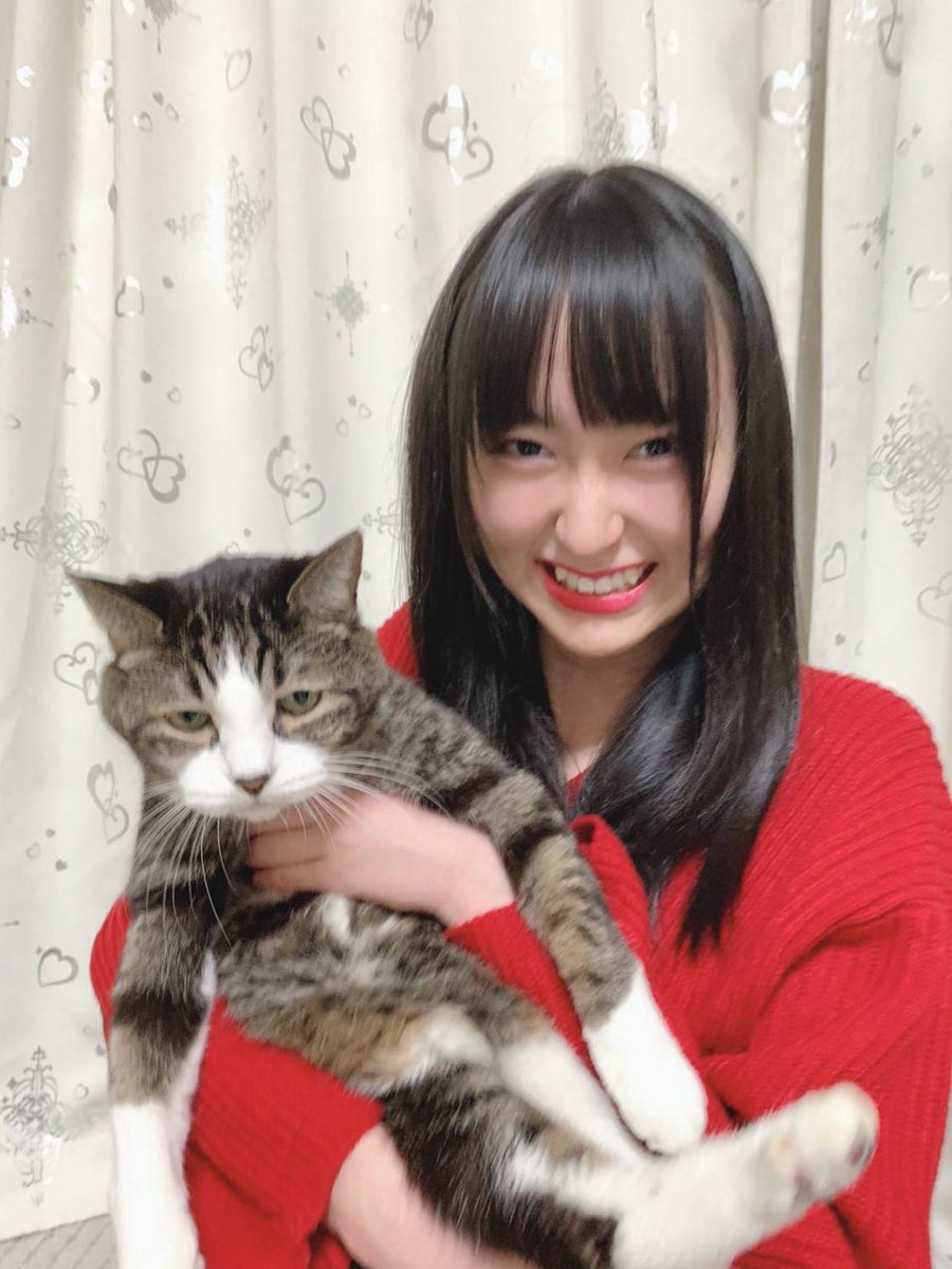 ノイミー] 川中子奈月心「やる気のない猫とそれを見て笑う少女