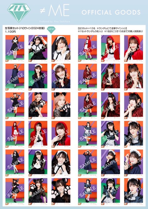 ノイミー ノイプレ 生写真 バラ売り可 ノイミー ノイプレ 写真