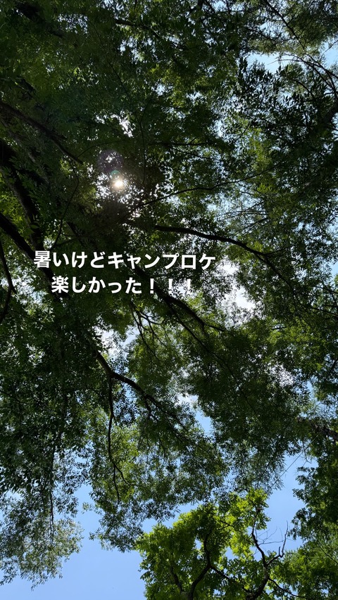 ゆずる画像