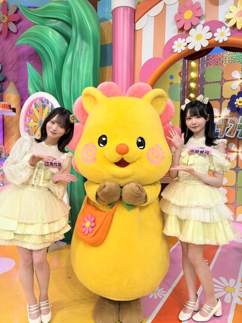 aaEaT8004