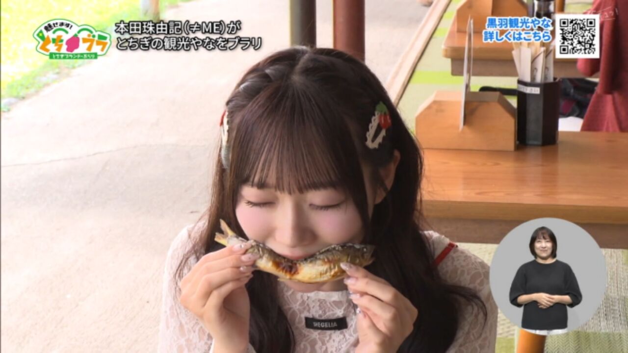 ノイミー] 本田珠由記、とちブラ 2026 #22（9/12放送）「とちぎの観光