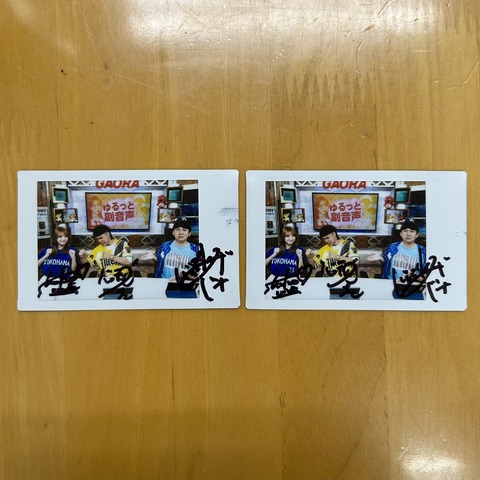 aaGaE6005