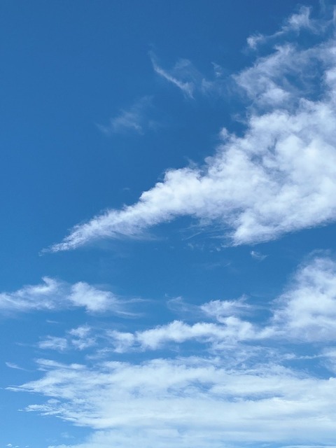 g00001