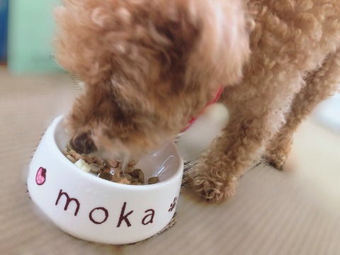 FCykj8_VUAAaRwL