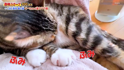 aaBaI7022
