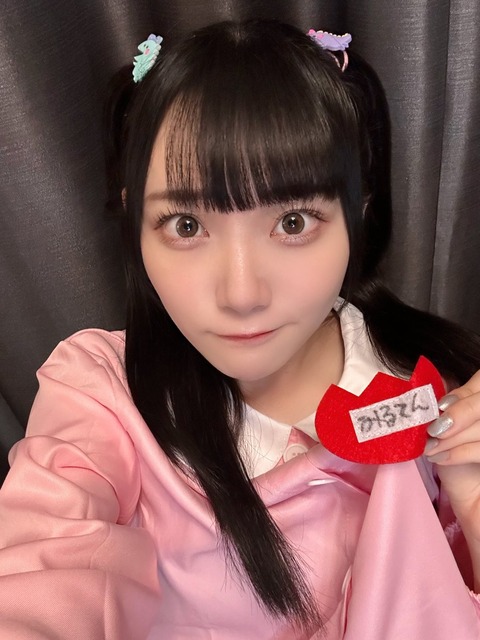 anH500011