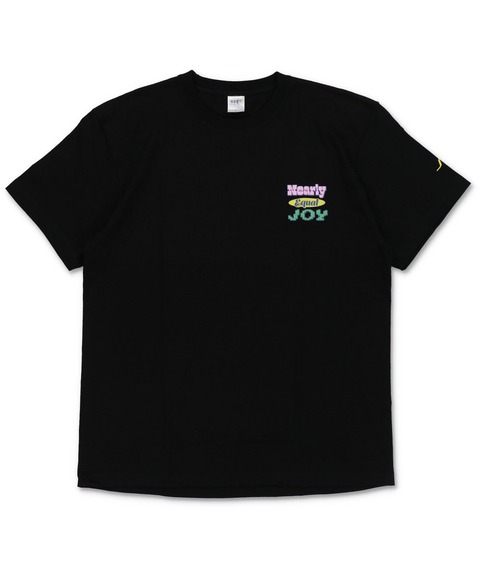 acp10013