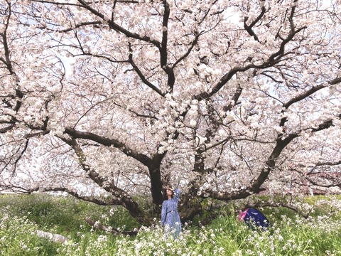 ahA500003