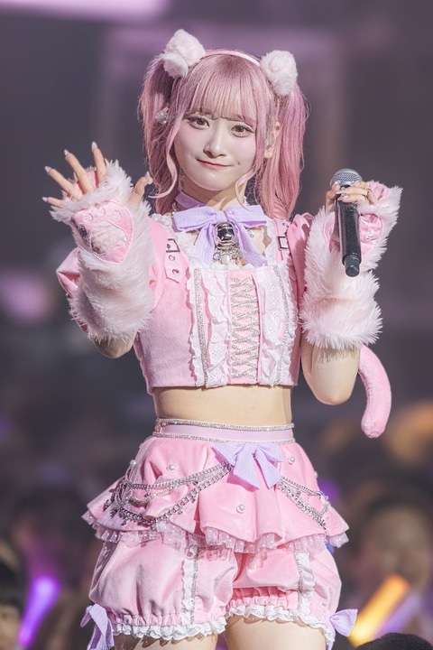 イコラブ　生写真　フルコンプ　７周年衣装 Amazon.co.jp: イコラブ 生写真 7周年 猫衣装 ほぼコンプ6枚不足