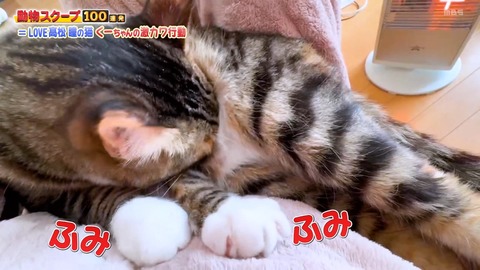 aaBaI7021