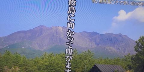 ad8300005