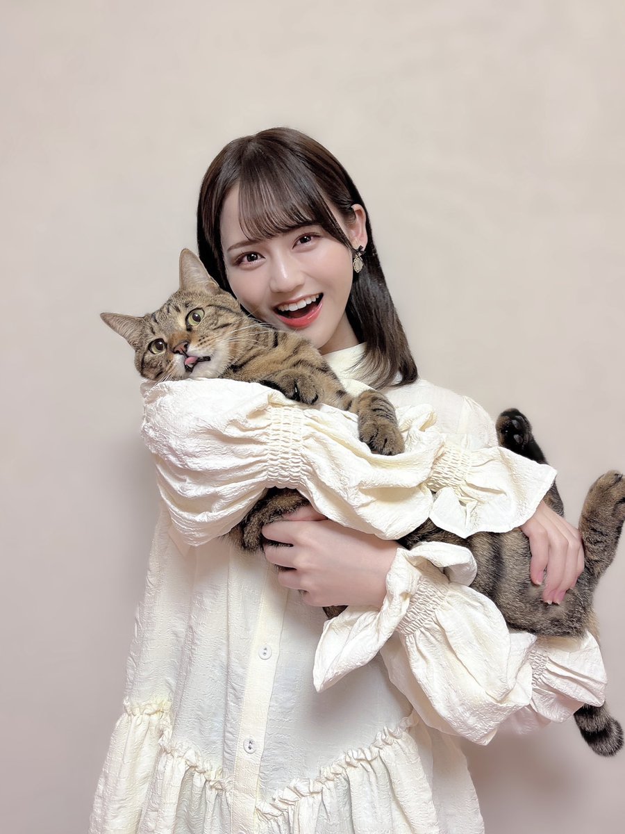 ＝LOVE イコラブ ミニフォトカード vol.9 髙松瞳 レア 猫衣装 髙松瞳 ミニフォト レア vol.9 LOVE イコラブ ミニフォトカード vol.9 髙