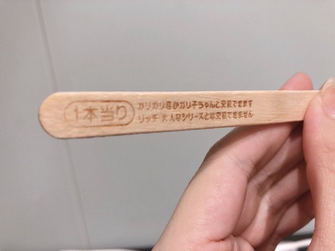 zz500008