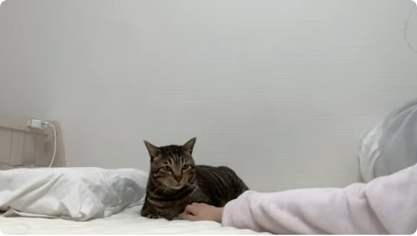 bandicam 2026-02-18 15-52-28-702