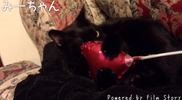 bandicam 2016-01-05 01-10-27-588