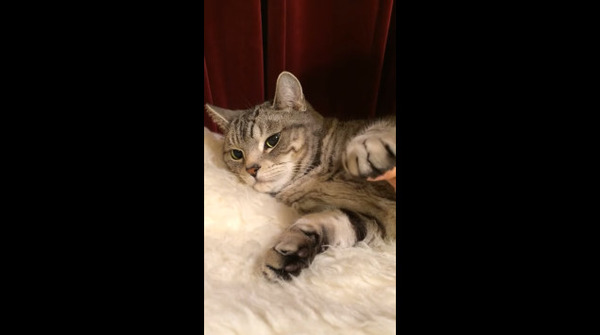 bandicam 2016-01-07 02-02-30-147