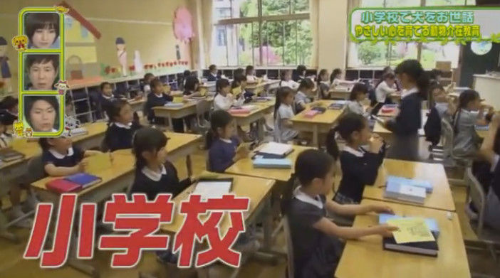 動画 16年6月5日 ペットの王国 ワンだランド 犬のお世話を通して心を成長させる小学校の試みに密着 関根勤 篠田麻里子 横尾渉 Kis My Ft2 ほか ドラマ バラエティー動画まとめ速報 動画 16年6月5日 ペットの王国 ワンだランド 犬のお世話を通して心を成長させる小学校の試みに密着 関根勤 篠田麻里子 横尾渉 Kis My Ft2 ほか ドラマ バラエティー動画まとめ速報