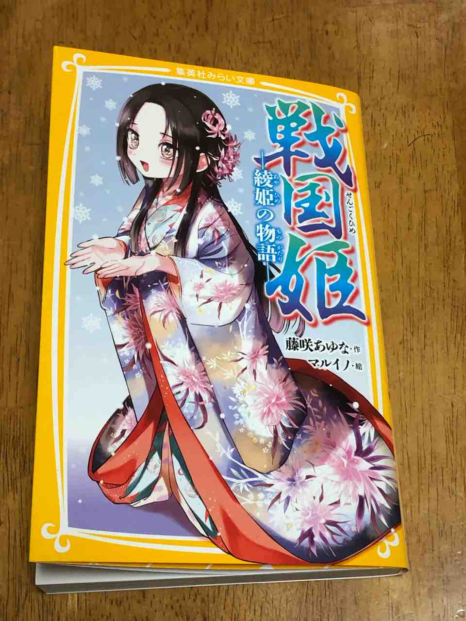 戦国姫 綾姫の物語 スケッチブック 戦国姫 綾姫の物語 スケッチブック