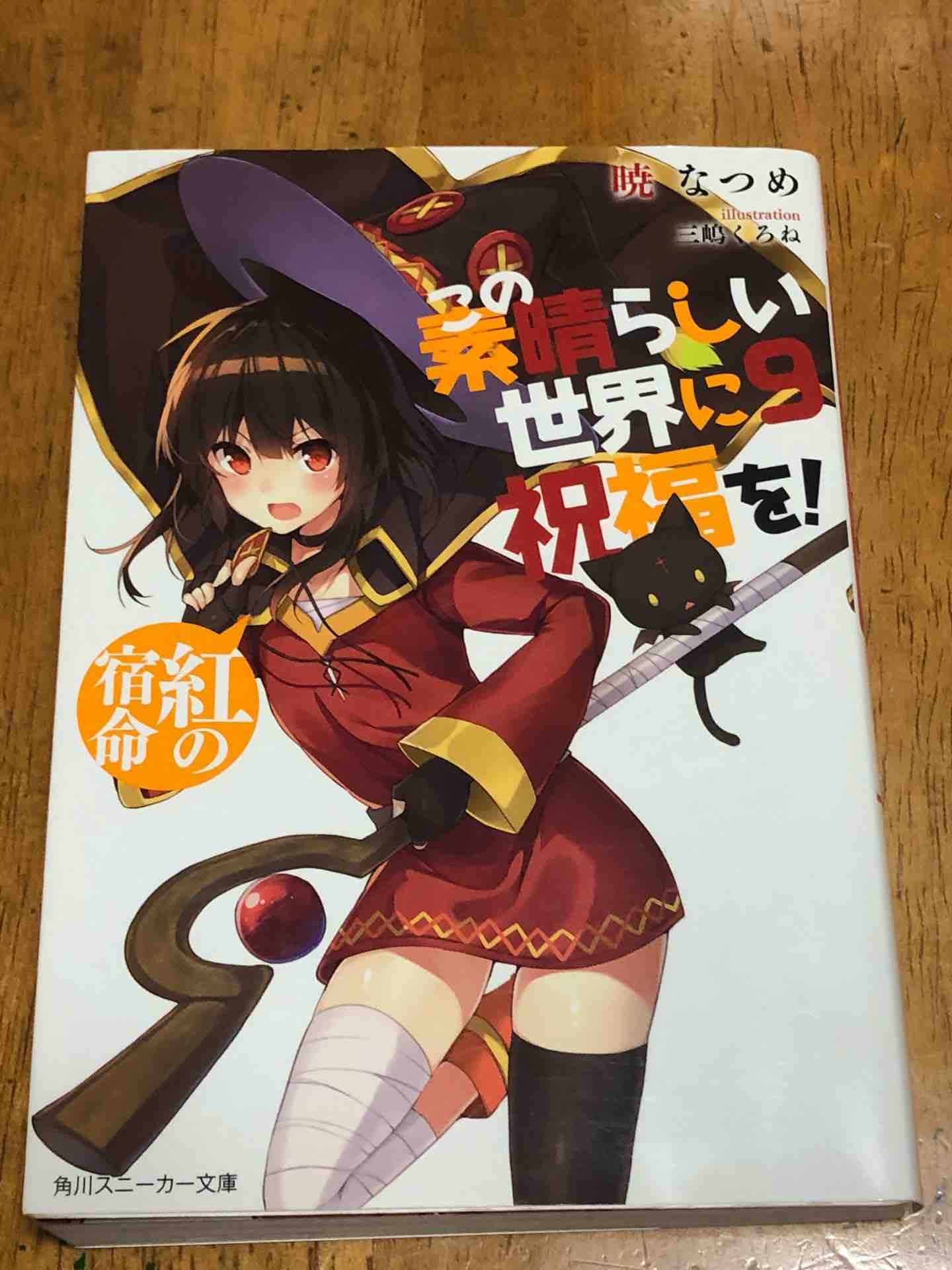 この素晴らしい世界に祝福を ９ スケッチブック