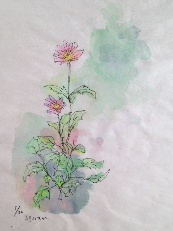 ミヤコワスレ 徳さんのスケッチブック ミヤコワスレ 徳さんのスケッチブック