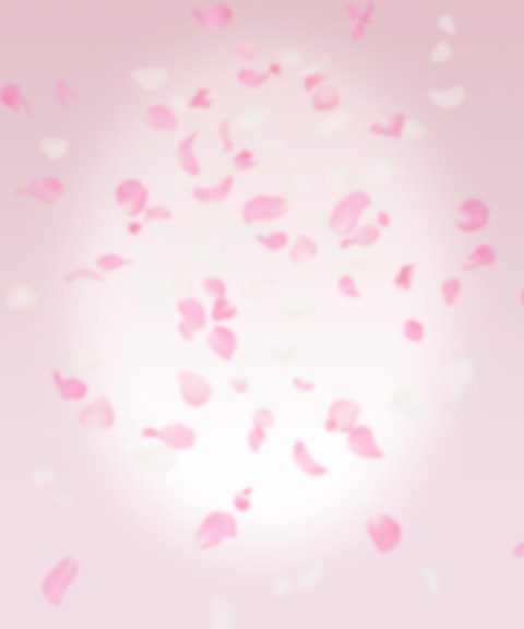 桜吹雪の背景画像フリーです
