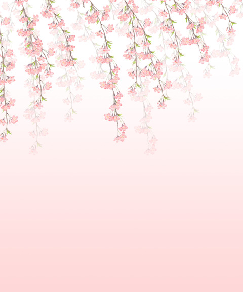 しだれ桜イラスト背景素材遺影用