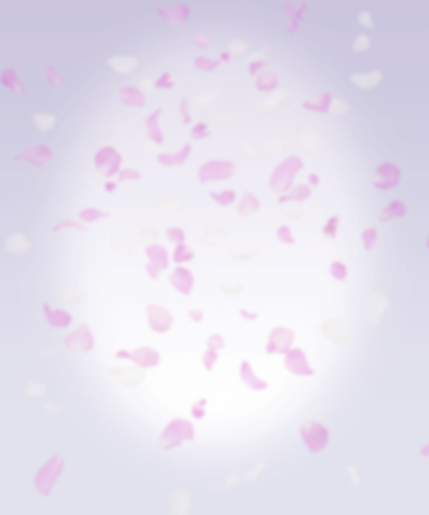 桜が舞う明るい遺影背景が無料ダウンロード