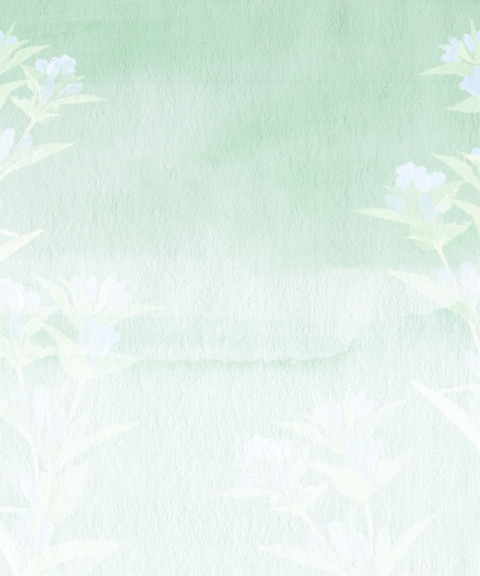遺影の作り方で使う画像