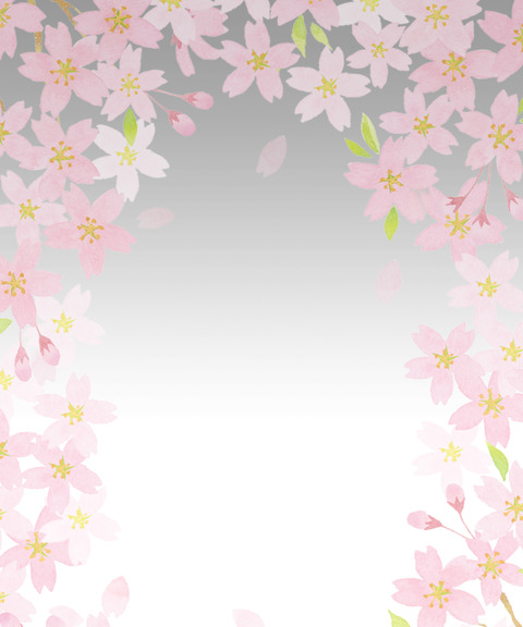 背景素材フリー渋い桜