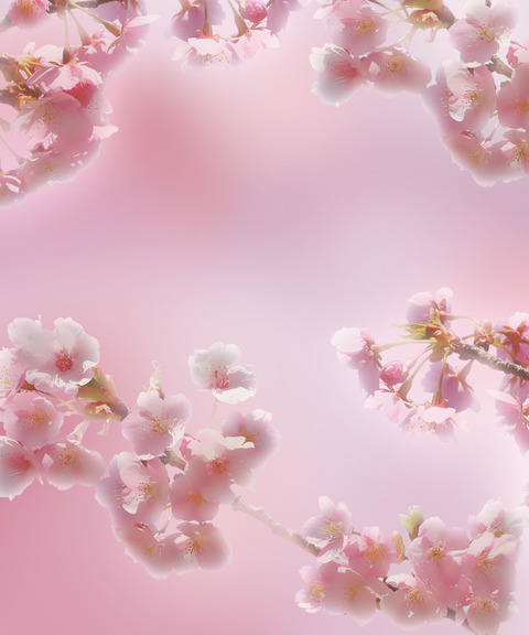 花の背景遺影用画像加工無料