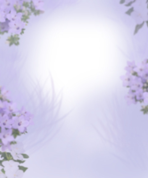 花イメージ背景素材無料