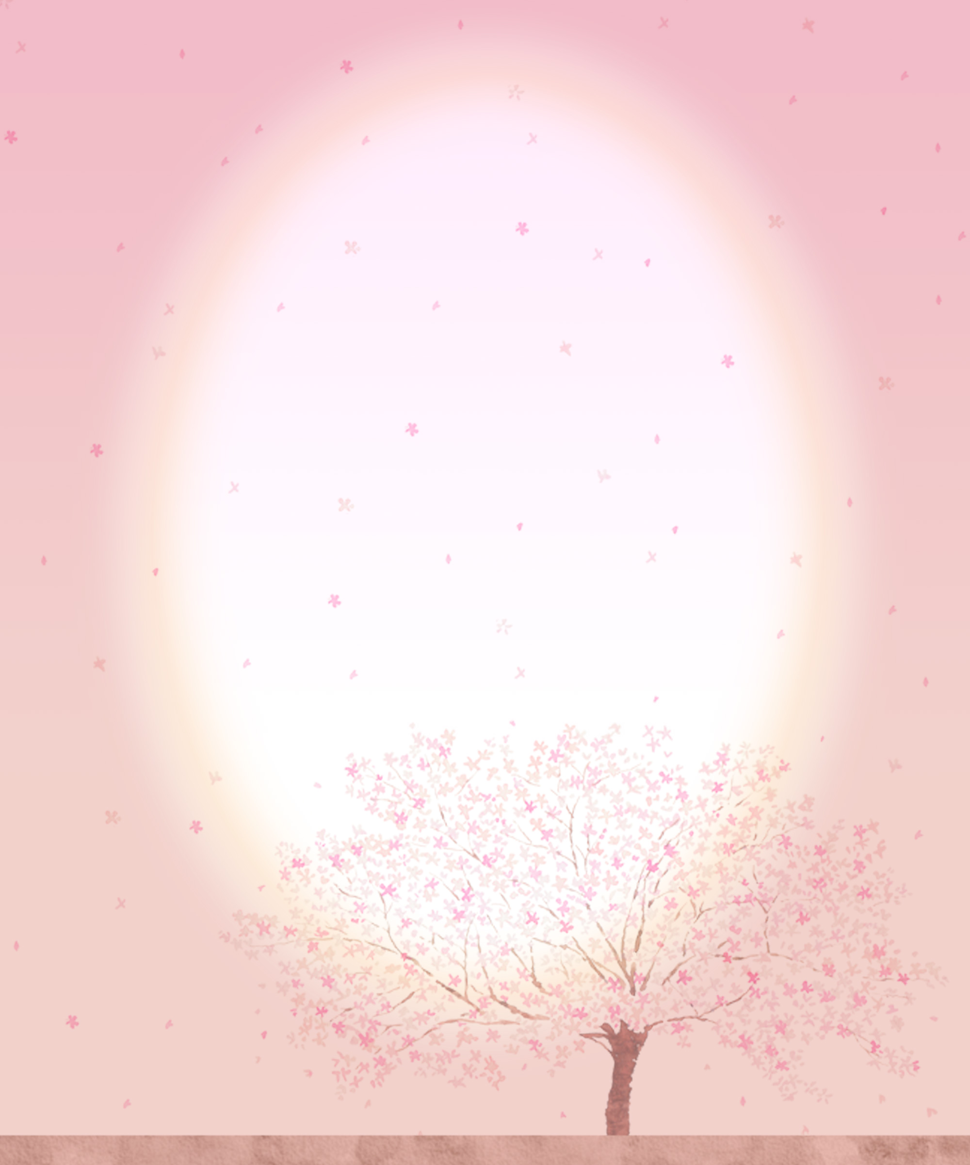 遺影背景素材フリー 薄いライトのイメージ 桜イラストピンク 遺影