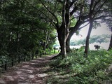 遊歩道・6