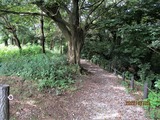 遊歩道・1
