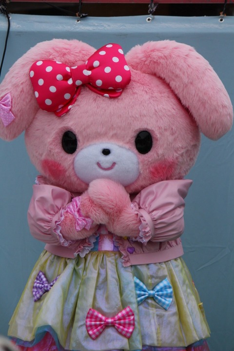 aIMG_5855