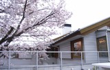 RIMG0065