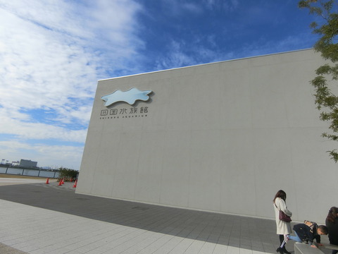 CIMG7422