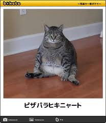 ダウンロード (3)